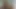 PAPPA_P