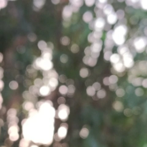 SunbakedSpice9