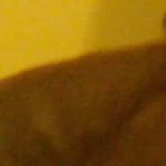 lovesex123123