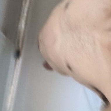 Grigorijs