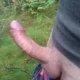 bornerect