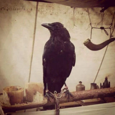 Darkprince1992