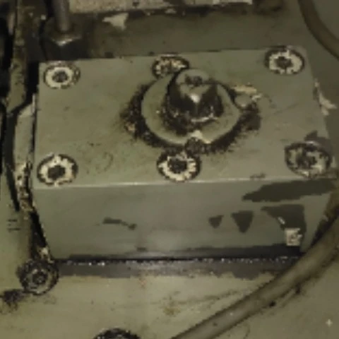 Chaan7052