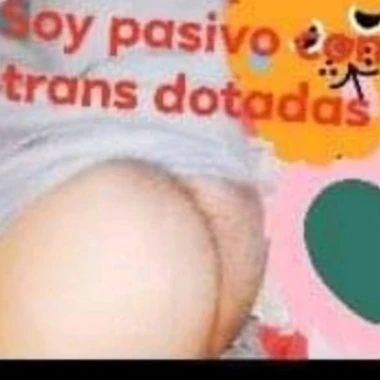 pasivocontrans