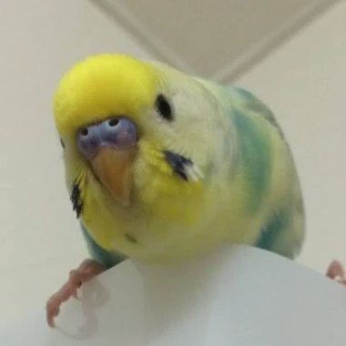 AxyqW