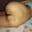 Desihottbhabi99