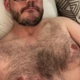 hairytopbear