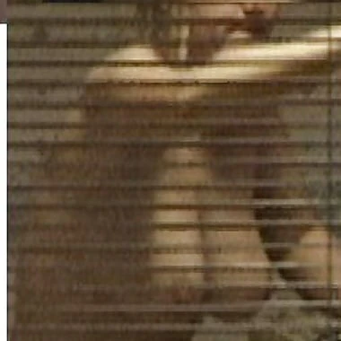 windowpeep