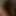 niina_cd