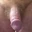 pandora59