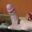 Semf222