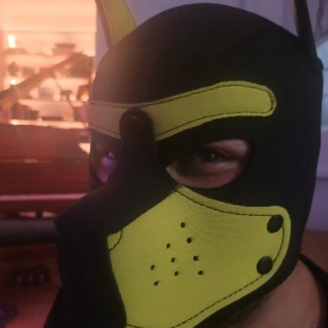 Shytallcub