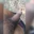VaryingStory621