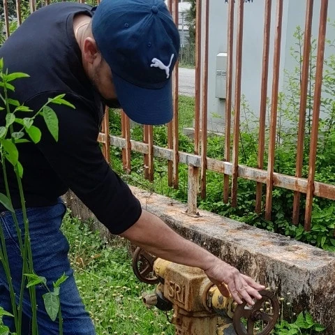 Malayacock