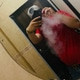 FoggyAssignment6