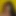 latinsquirt