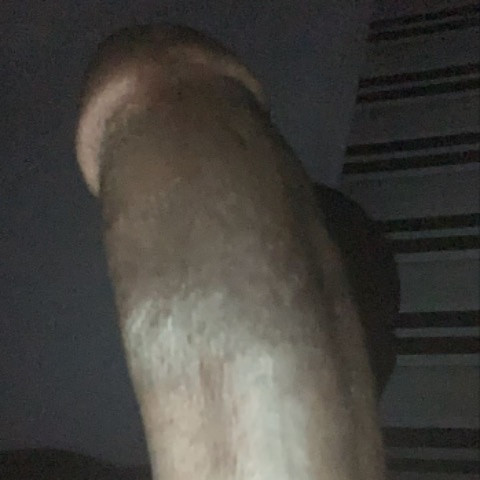 Prince_0329
