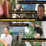 chadheard