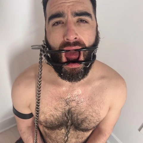 Sugarpup29